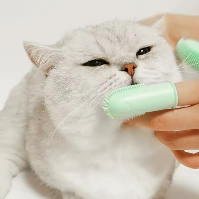 Finger Cover Pet Toothbrush