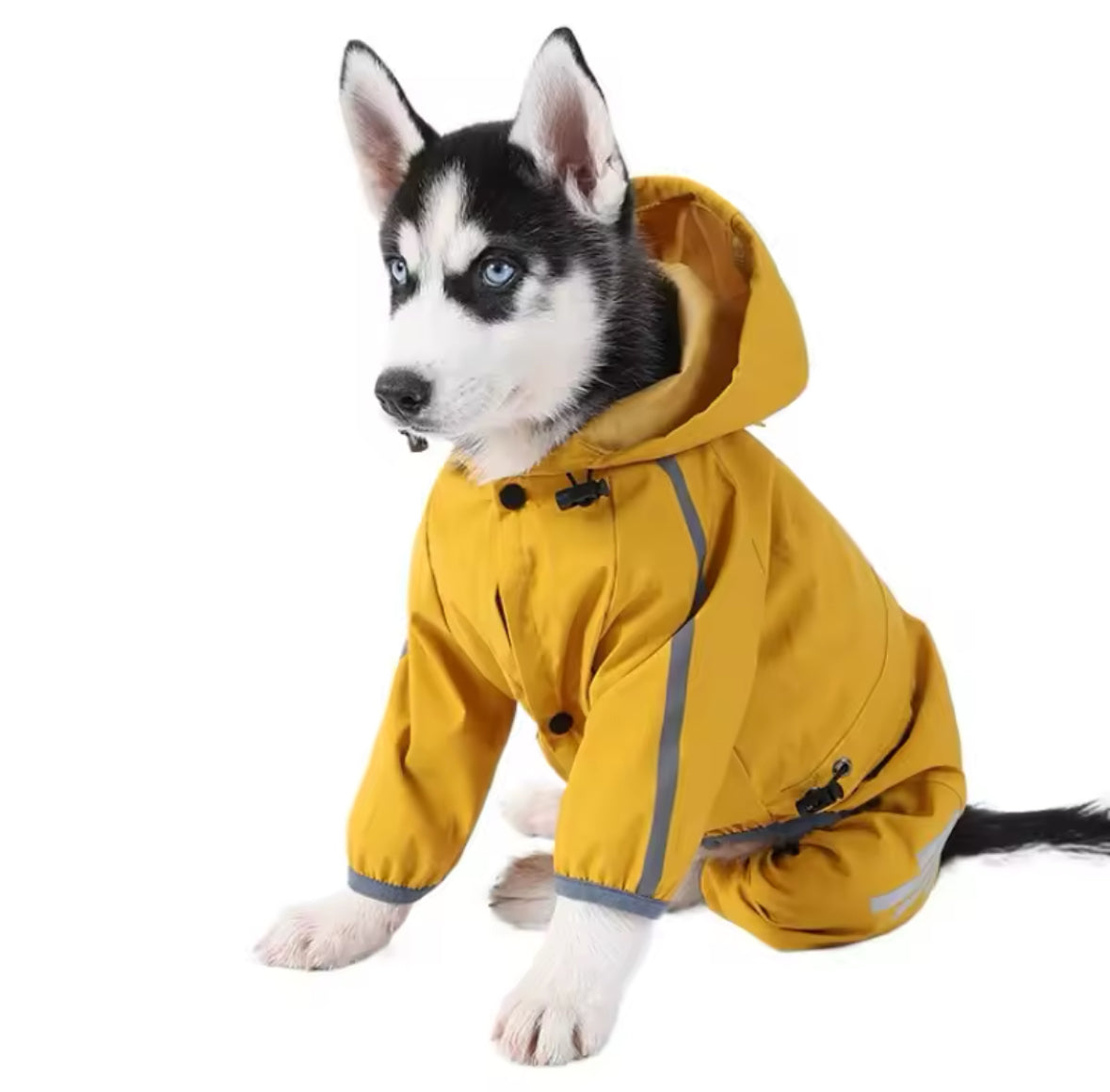 Waterproof Dog Raincoat with Hood