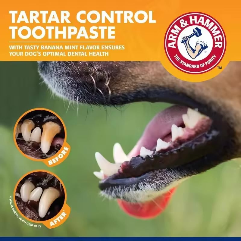 PetDental Kit – Tartar & Plaque Remover for Dogs & Cats