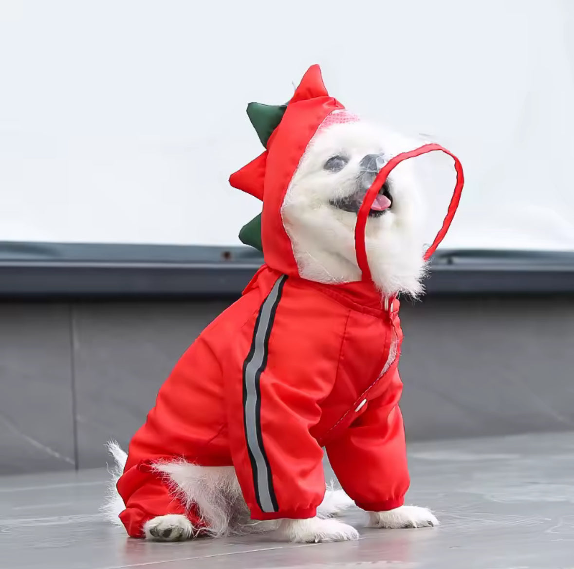 DinoFrog Dog Raincoat