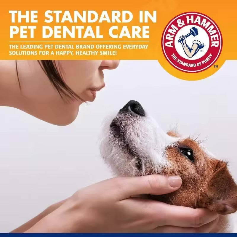 PetDental Kit – Tartar & Plaque Remover for Dogs & Cats