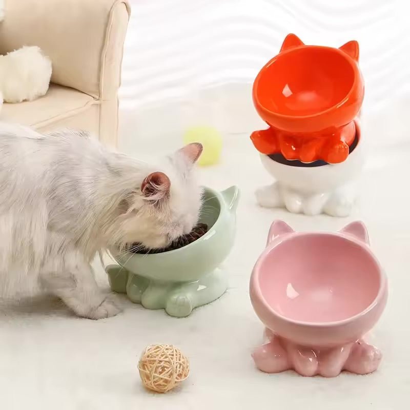 Ceramic Bowl for Cat