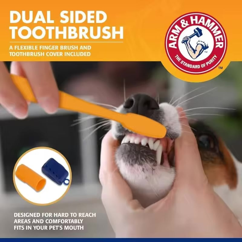 PetDental Kit – Tartar & Plaque Remover for Dogs & Cats