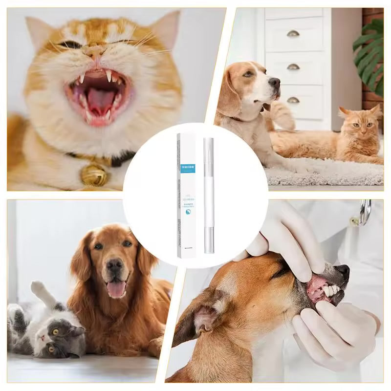 Pets Teeth Cleaning Pen