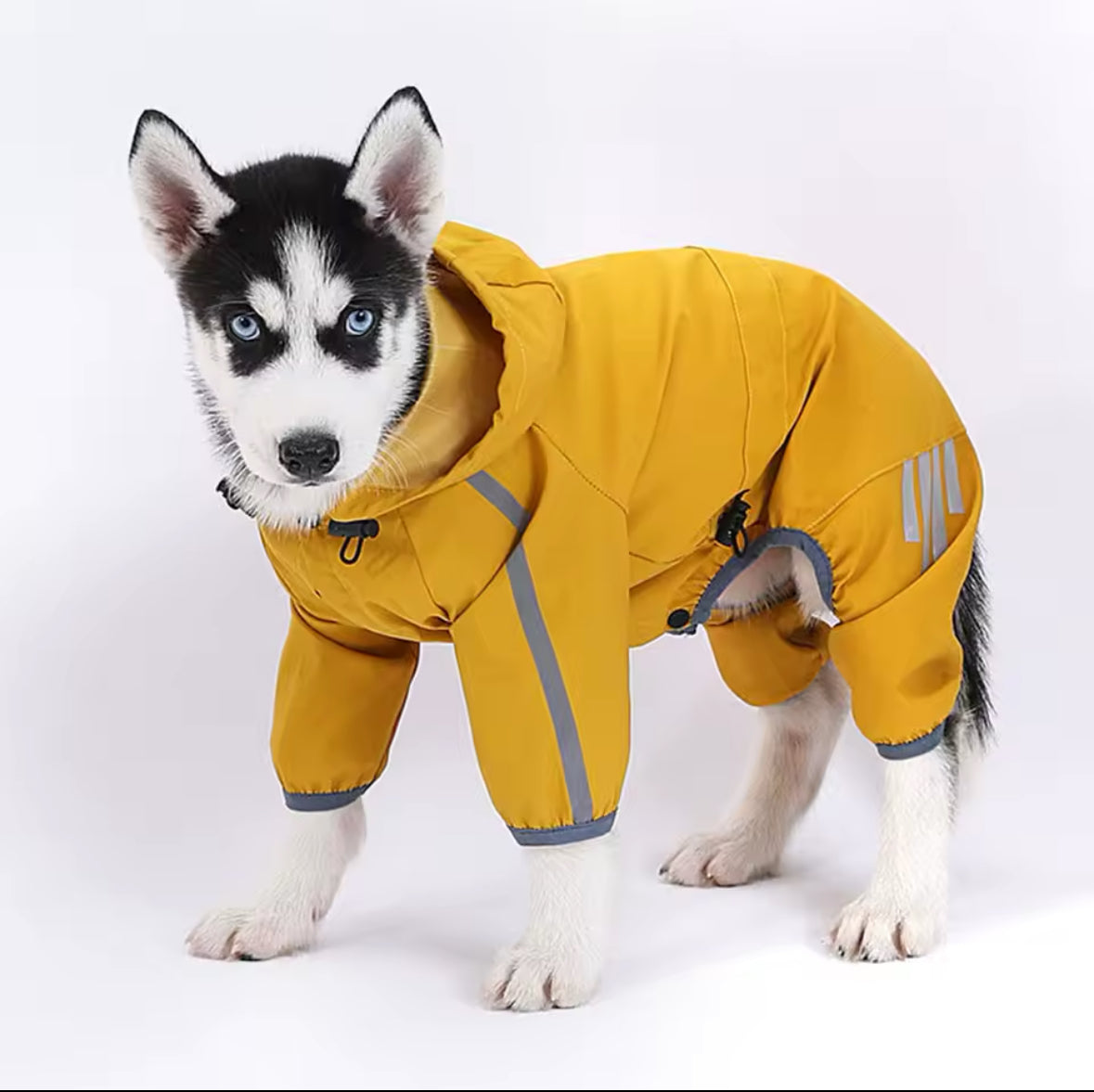 Waterproof Dog Raincoat with Hood