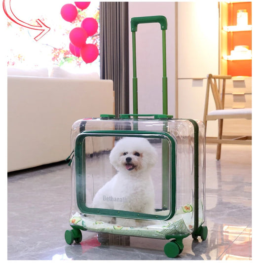 Pet trolley suitcase