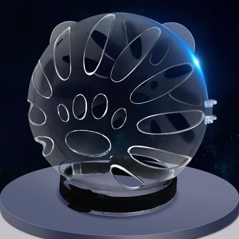 Pet protective helmet