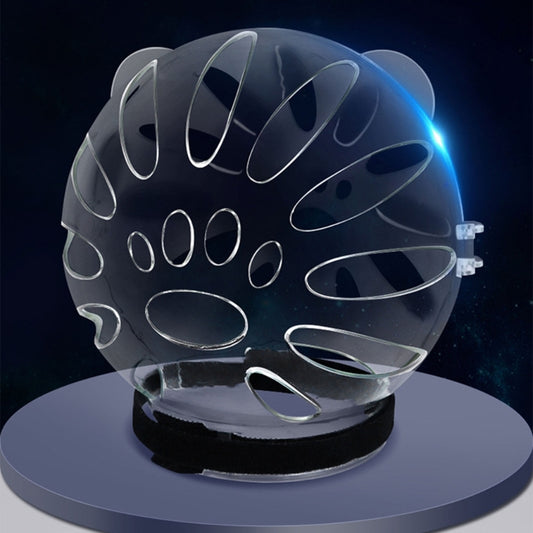 Pet protective helmet