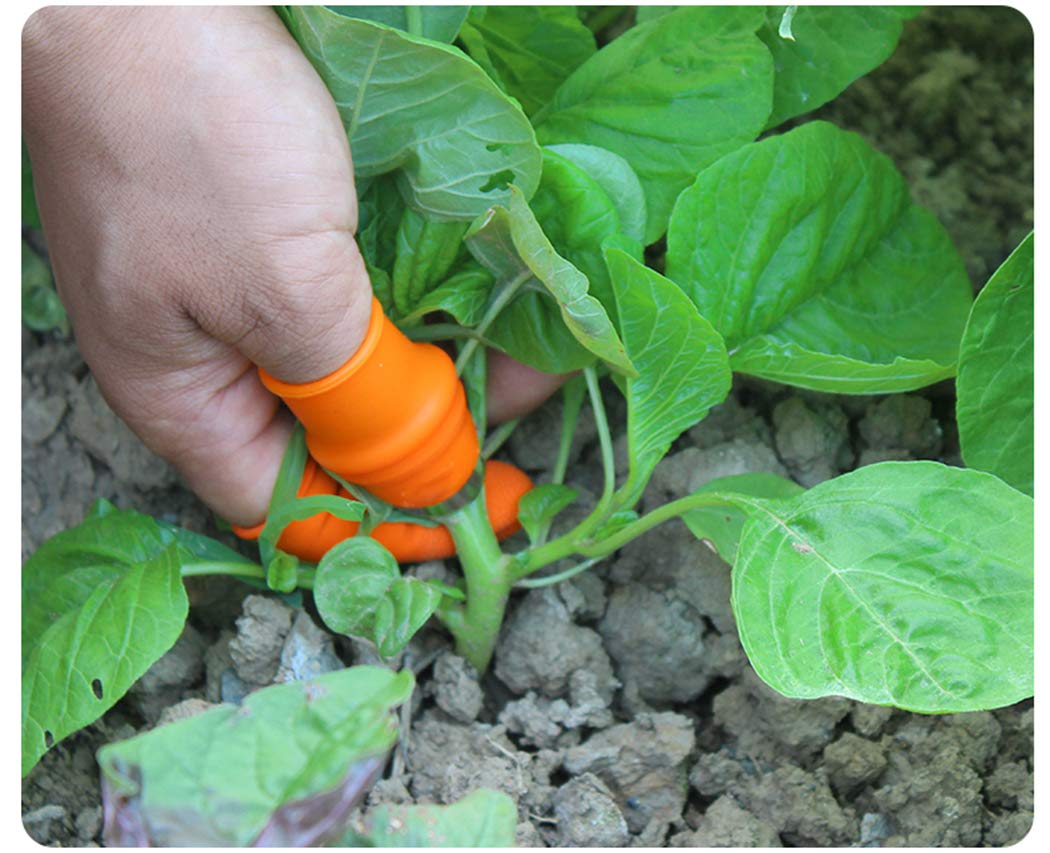 The Thumb Knife Tool