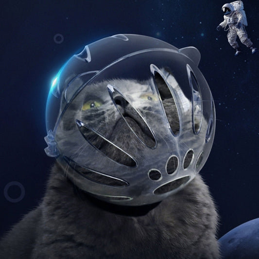 Pet protective helmet