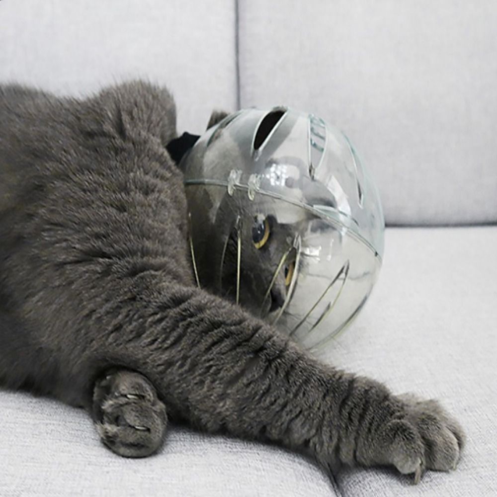 Pet protective helmet