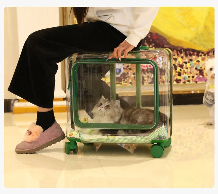 Pet trolley suitcase