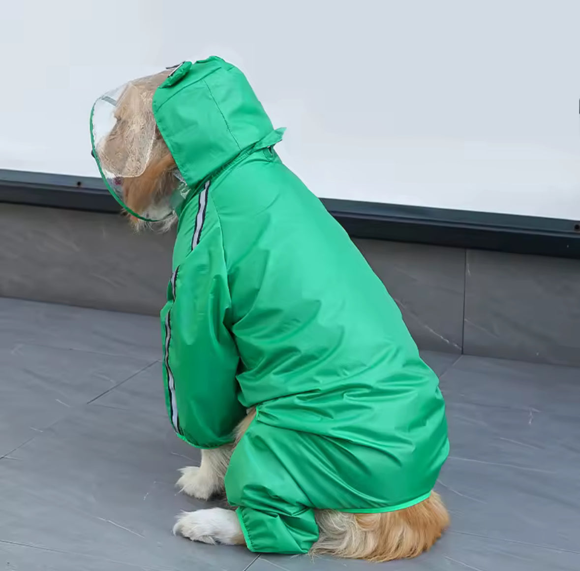 DinoFrog Dog Raincoat