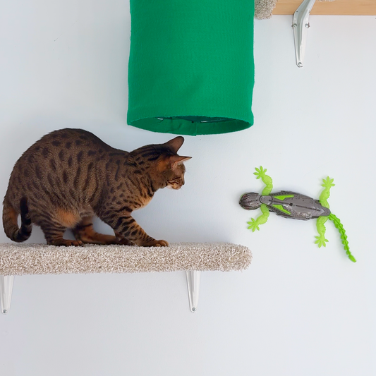 Rechargeable Remote Control Wall-Climbing Gecko Toy