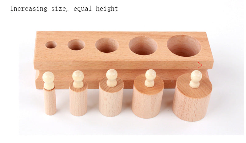 Wooden Montessori Cylinder Puzzle