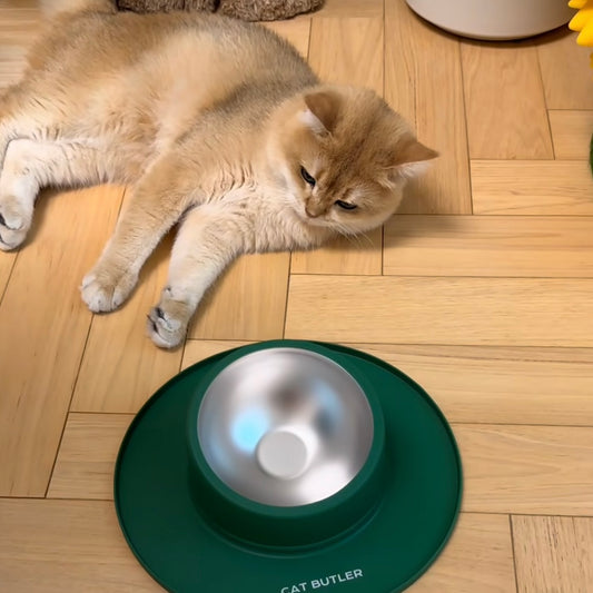 No-Tip Silicone Pet Bowl