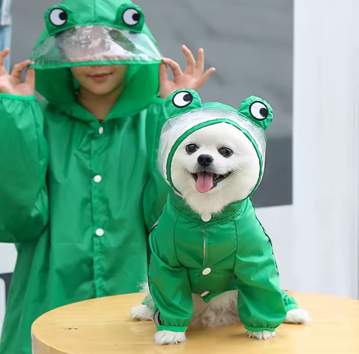 DinoFrog Dog Raincoat