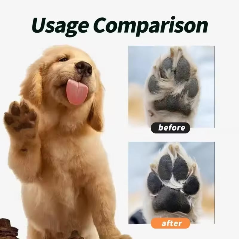 Pet Cleaning Decontamination