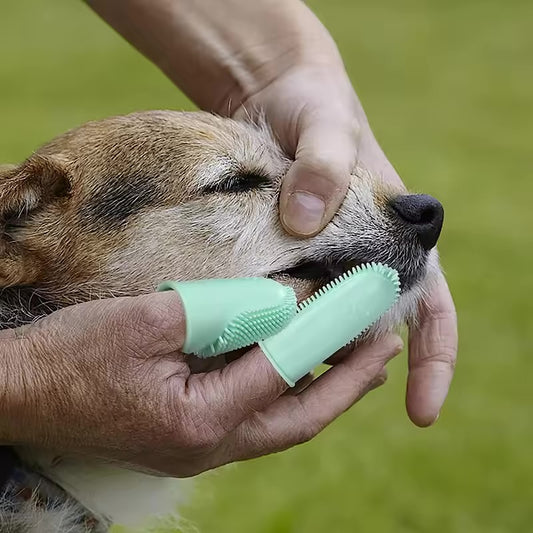 Finger Cover Pet Toothbrush