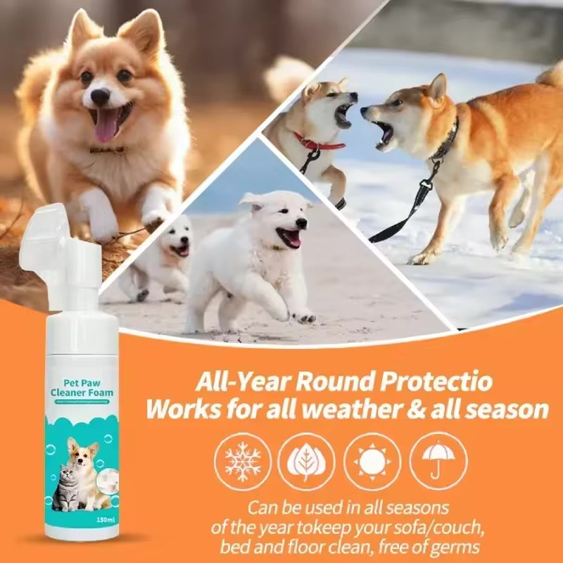Pet Cleaning Decontamination