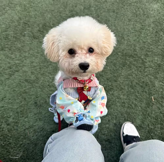 Dog Jumpsuit with Shoes