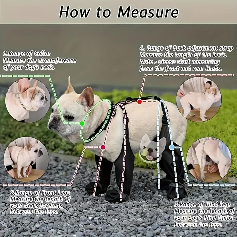 Dog Jumpsuit with Boots