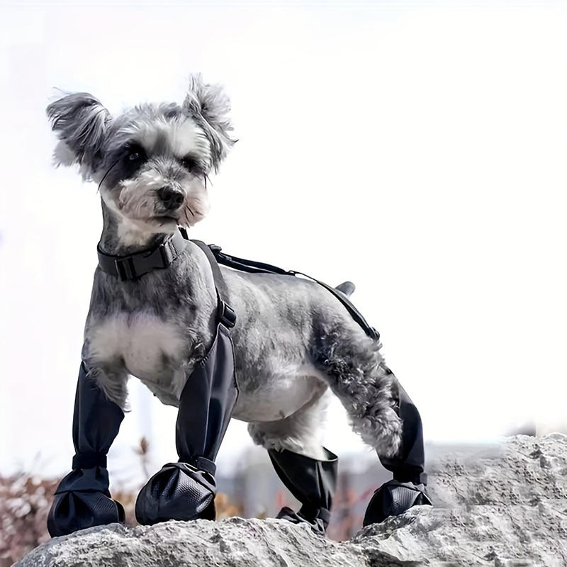 Dog Jumpsuit with Boots