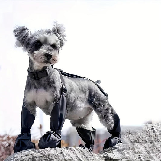 Dog Jumpsuit with Boots