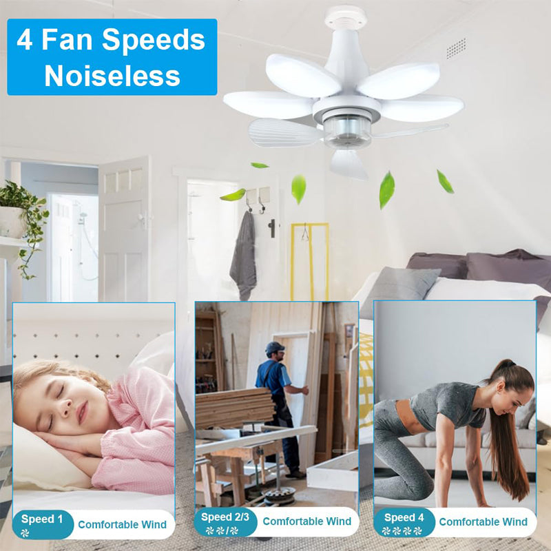 2-in-1 Ceiling Fan & LED Light