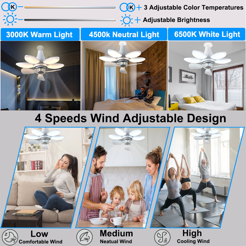 2-in-1 Ceiling Fan & LED Light