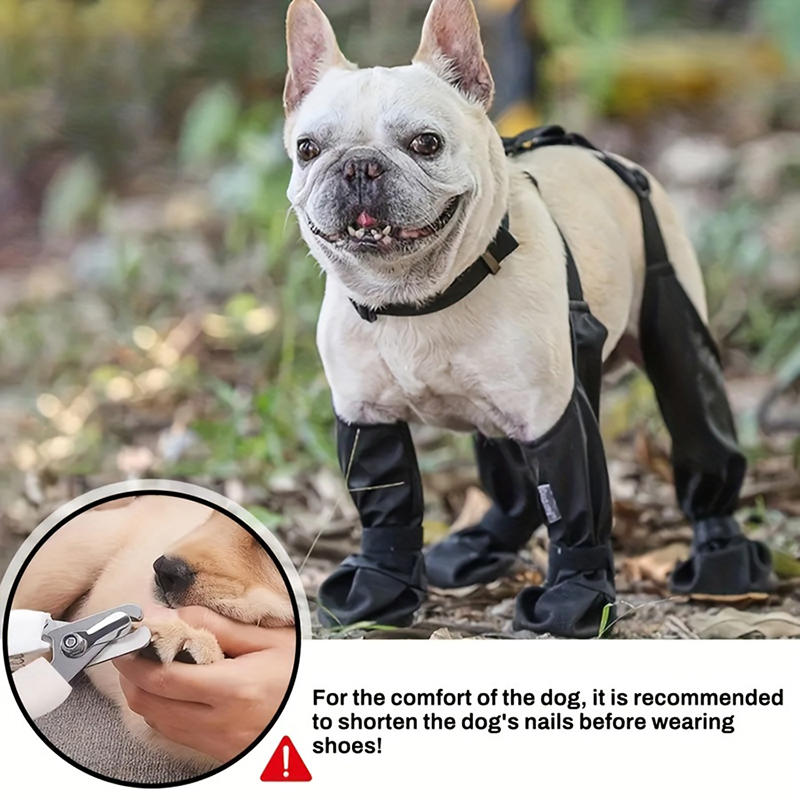 Dog Jumpsuit with Boots