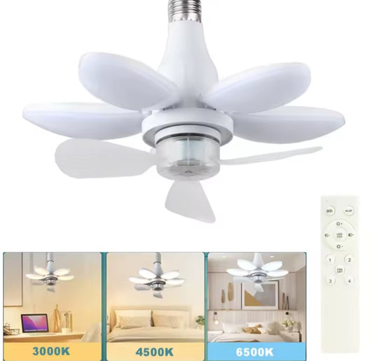 2-in-1 Ceiling Fan & LED Light