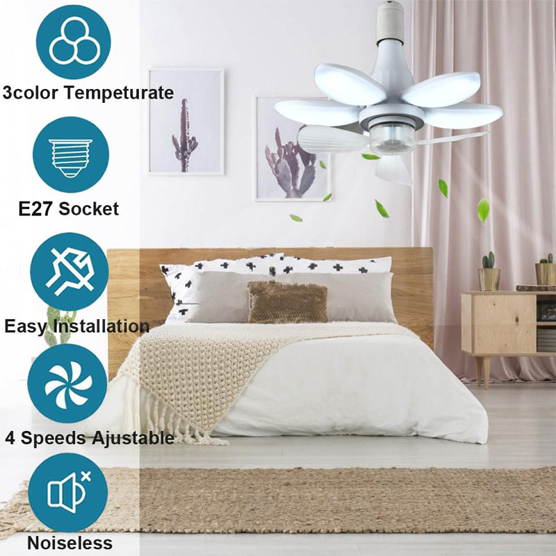 2-in-1 Ceiling Fan & LED Light